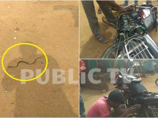 ಬೈಕ್‍ ನೊಳಗೆ ಪ್ರತ್ಯಕ್ಷವಾದ ಹಾವಿಗೆ ಸಿಕ್ತು ಜೀವದಾನ!