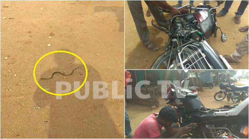 ಬೈಕ್‍ ನೊಳಗೆ ಪ್ರತ್ಯಕ್ಷವಾದ ಹಾವಿಗೆ ಸಿಕ್ತು ಜೀವದಾನ!