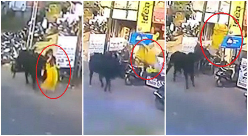 ವಿಡಿಯೋ: ರಸ್ತೆಯಲ್ಲಿ ಹೋಗ್ತಿದ್ದಾಗ ಹಿಂದಿನಿಂದ ಗುದ್ದಿದ ಗೂಳಿ- 10 ಅಡಿ ಗಾಳಿಯಲ್ಲಿ ಹಾರಿ ದೂರಕ್ಕೆ ಬಿದ್ದ ಮಹಿಳೆ