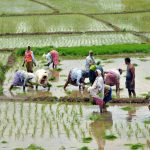 ಈ ಬಾರಿ ಸಾಧಾರಣ ಮುಂಗಾರು ಮಳೆ: ಹವಾಮಾನ ಇಲಾಖೆ