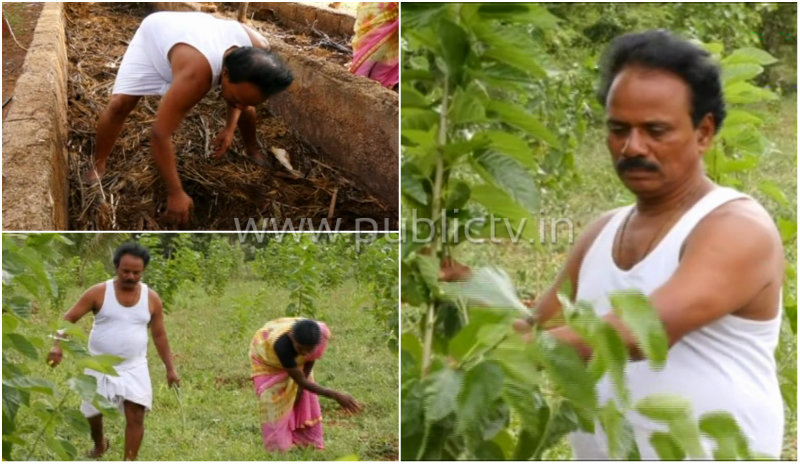 ಎಂಜಿನಿಯರಿಂಗ್ ಮಾಡಿ ಕೃಷಿಯಲ್ಲಿ ಮಾದರಿಯಾದ್ರು ಗದಗ್ ನ ಬಸವರಾಜ್