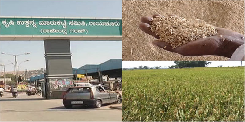 ಕುಸಿದ ಭತ್ತದ ಬೆಲೆ-ಬರಗಾಲಕ್ಕೆ ತತ್ತರಿಸಿದ ರೈತರು ಈಗ ಸಂಪೂರ್ಣ ಅತಂತ್ರ