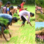 ಬುಕ್ ಹಿಡಿಯೋ ಕೈಯಲ್ಲಿ ಭತ್ತದ ನಾಟಿ – ಉಡುಪಿ ಮಕ್ಕಳಿಗೆ ಕೃಷಿ ಪಾಠ