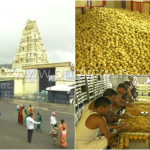 ತಿರುಪತಿಯಂತೇ ಮಲೆಮಹದೇಶ್ವರ ಬೆಟ್ಟದಲ್ಲೂ ಲಡ್ಡು ತಯಾರಿ- ಹೇಗೆ ತಯಾರಿಸ್ತಾರೆ..? ಏನಿದರ ವಿಶೇಷತೆ..?