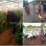 ಅತ್ತ ರೆಸಾರ್ಟ್​​ನಲ್ಲಿ ಕೈ ಶಾಸಕರು, ಇತ್ತ ಪತ್ನಿ ಜೊತೆ ಫುಲ್ ರಿಲ್ಯಾಕ್ಸ್ ಮೂಡ್‍ನಲ್ಲಿ ಸ್ಪೀಕರ್