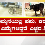 ಬೆಂಗಳೂರಿನ ಹಸು ಸಾಕಾಣಿಕೆದಾರರೇ ಹುಷಾರ್ !