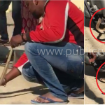 ಸ್ಕೂಟಿಯಲ್ಲಿ ನಾಗರಹಾವು ಪ್ರತ್ಯಕ್ಷ – ಬಿಡಿ ಭಾಗವನ್ನು ತೆಗೆದು ಕೊನೆಗೂ ಹಿಡಿದ್ರು : ವಿಡಿಯೋ
