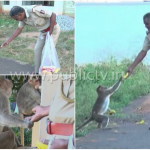 ಕೋತಿ, ನಾಯಿಗಳಿಗೆ ಬಾಳೆಹಣ್ಣು, ಬಿಸ್ಕತ್ – ಪ್ರೀತಿ ತೋರಿಸ್ತಿದ್ದಾರೆ ಎಎಸ್‍ಐ ನಂಜುಂಡಯ್ಯ