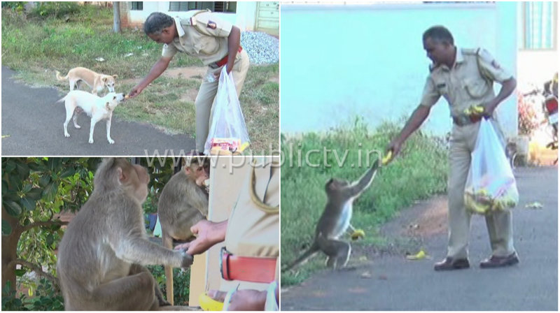 ಕೋತಿ, ನಾಯಿಗಳಿಗೆ ಬಾಳೆಹಣ್ಣು, ಬಿಸ್ಕತ್ – ಪ್ರೀತಿ ತೋರಿಸ್ತಿದ್ದಾರೆ ಎಎಸ್‍ಐ ನಂಜುಂಡಯ್ಯ