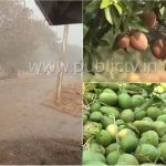 ಗದಗ ಸುತ್ತಮುತ್ತ ಆಲಿಕಲ್ಲು ಸಹಿತ ಧಾರಾಕಾರ ಮಳೆ