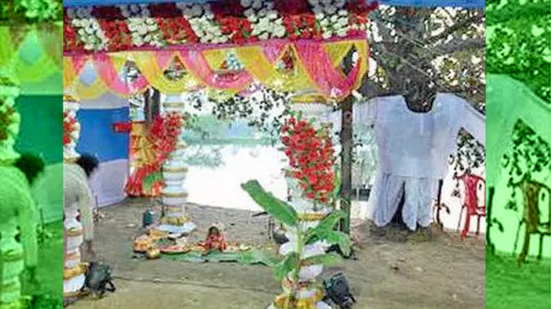 ಸಂಪ್ರದಾಯಬದ್ಧವಾಗಿ ನಡೆಯಿತು ಮರಗಳ ವಿಶೇಷ ಮದುವೆ