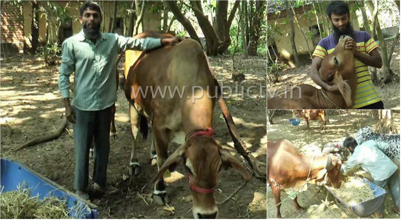 ದೇಸೀ ತಳಿಗಳ ರಕ್ಷಣೆಗೆ ಪಣ – ಮಕ್ಕಳಂತೆ ಪಾಲನೆ, ಪೋಷಣೆ ಮಾಡ್ತಿದ್ದಾರೆ ಉಡುಪಿಯ ಇರ್ಷಾದ್