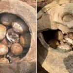 ಚೀನಾದಲ್ಲಿ ಪತ್ತೆಯಾಯ್ತು 2,500 ವರ್ಷ ಹಿಂದಿನ ಮೊಟ್ಟೆಗಳು!