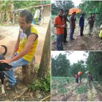 ಮಗು ಹೂತಿಟ್ಟ ಅಪ್ರಾಪ್ತ ತಾಯಿ – ಕಂದನನ್ನ ಕಾಪಾಡಿ ಹೀರೋ ಆಯ್ತು ಅಂಗವಿಕಲ ನಾಯಿ