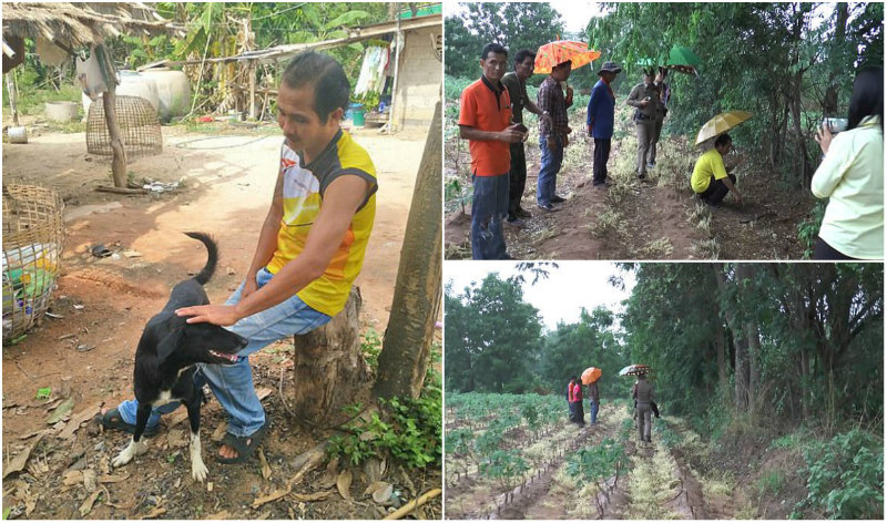 ಮಗು ಹೂತಿಟ್ಟ ಅಪ್ರಾಪ್ತ ತಾಯಿ – ಕಂದನನ್ನ ಕಾಪಾಡಿ ಹೀರೋ ಆಯ್ತು ಅಂಗವಿಕಲ ನಾಯಿ