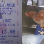 ಕೋಳಿಗೆ ಟಿಕೆಟ್ ನೀಡಿದ ನಿರ್ವಾಹಕ-ಸೀಟ್ ಮೇಲೆಯೇ ಕೋಳಿಯನ್ನು ಕೂರಿಸಿದ ಮಾಲೀಕ