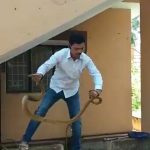 ಇಲಿ ಹಿಡಿಯಲು ಹೋಗಿ ಪ್ರಾಣಕ್ಕೆ ಆಪತ್ತು ತಂದುಕೊಂಡಿದ್ದ ಹಾವಿನ ರಕ್ಷಣೆ