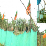 ರೈತನ ಹೊಸ ಪ್ಲಾನ್ – ಟೊಮೆಟೊ ತೋಟದಲ್ಲಿ ಕೇಸರಿ ಕಮಾಲ್!