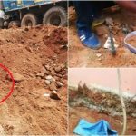 ಕಾಮಗಾರಿ ವೇಳೆ ಹೊರ ಬಂದ ನಾಗ