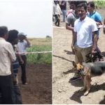 ಪೆಟ್ರೋಲ್ ಸುರಿದು ಬೆಂಕಿ ಹಚ್ಚಿ ಯುವತಿಯ ಬರ್ಬರ ಹತ್ಯೆ