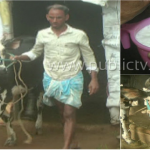 ಕರು ಹಾಕದೆಯೇ ಕೊಡ್ತಿದೆ ಹಾಲು – ಹಾವೇರಿಯಲ್ಲೊಂದು ವಿಚಿತ್ರ ಕಾಮಧೇನು
