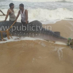 ಮುಕ್ಕ ಬೀಚ್‍ನಲ್ಲಿ ಸತ್ತ ಶಾರ್ಕ್ ಮೀನು ಪತ್ತೆ