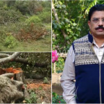 ಪಬ್ಲಿಕ್ ಇಂಪ್ಯಾಕ್ಟ್- 890 ಮರಗಳ ಮಾರಣ ಹೋಮಕ್ಕೆ ಕಾರಣವಾದ ಡಿಸಿಎಫ್ ಅಮಾನತು