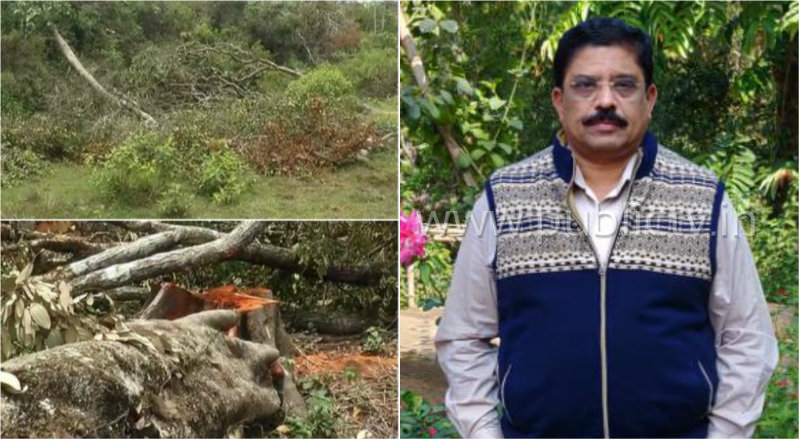 ಪಬ್ಲಿಕ್ ಇಂಪ್ಯಾಕ್ಟ್- 890 ಮರಗಳ ಮಾರಣ ಹೋಮಕ್ಕೆ ಕಾರಣವಾದ ಡಿಸಿಎಫ್ ಅಮಾನತು