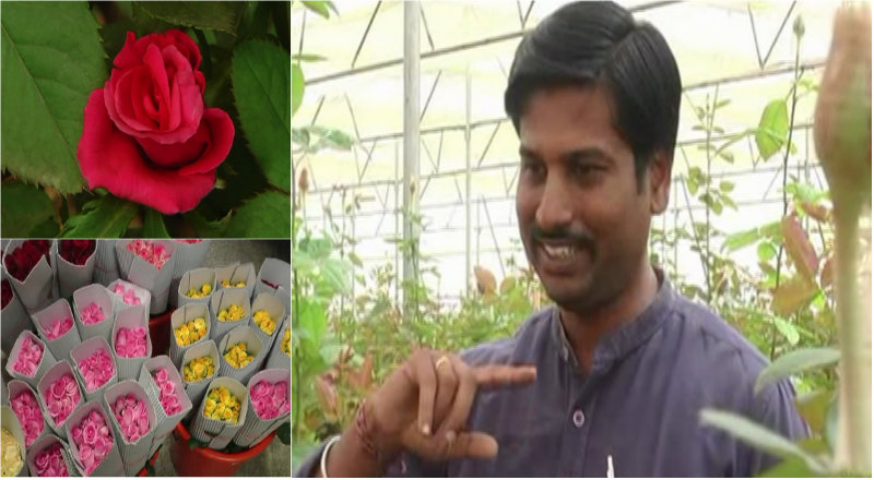 4 ಲಕ್ಷದ ನೌಕರಿಗೆ ಗುಡ್‍ಬೈ- ಇಸ್ರೇಲ್ ಮಾದರಿ ಕೃಷಿಯಲ್ಲಿ ಯಶಸ್ವಿಯಾದ ಎಂಟೆಕ್ ಪದವೀಧರ