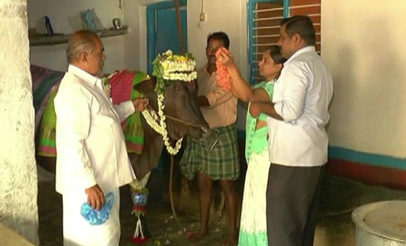 ಹಸುವಿಗೆ ಸೀಮಂತ ಮಾಡಿ ವ್ಯಕ್ತಿಯಿಂದ ಸಂಭ್ರಮಾಚರಣೆ