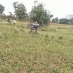 ಕುರಿಗಾಯಿಯ ಮುಂದೆಯೇ ಕುರಿ ಹೊತ್ತೊಯ್ದ ಚಿರತೆ