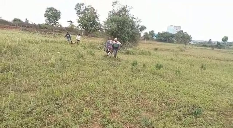 ಕುರಿಗಾಯಿಯ ಮುಂದೆಯೇ ಕುರಿ ಹೊತ್ತೊಯ್ದ ಚಿರತೆ