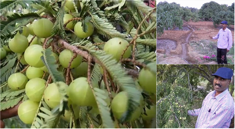 ಸರ್ಕಾರಿ ಹುದ್ದೆಗೆ ಗುಡ್‍ಬೈ, ಪ್ರಕೃತಿ ಮಾತೆಗೆ ಜೈ ಅಂದ್ರು ಕೋಲಾರದ ರಾಜಶೇಖರ್