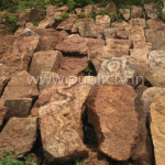 ಕೆರೆಯ ಏರಿಯಲ್ಲಿ ಸಿಗ್ತು 200ಕ್ಕೂ ಹೆಚ್ಚು ನಾಗರಕಲ್ಲು