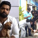 ಬೀದಿ ನಾಯಿಗಳಿಗೆ ಆಶ್ರಯ ಒದಗಿಸಲು ಮುಂದಾದ ರಕ್ಷಿತ್ ಶೆಟ್ಟಿ