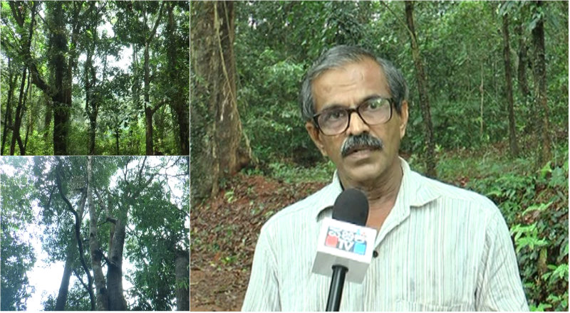 ನನಸಾಯ್ತು 30 ವರ್ಷಗಳ ಅರಣ್ಯದ ಕನಸು – 10 ಎಕರೆಯಲ್ಲಿ ತಲೆಯೆತ್ತಿದೆ ಸಮೃದ್ಧ ಕಾಡು
