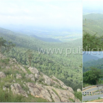 ಮುಂಗಾರಿನ ಅಭಿಷೇಕಕ್ಕೆ ಹಸಿರು ಹೊದಿಕೆಹೊತ್ತ ಬಿಳಿಗಿರಿ ರಂಗನಾಥಸ್ವಾಮಿ ಬೆಟ್ಟ