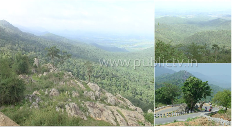 ಮುಂಗಾರಿನ ಅಭಿಷೇಕಕ್ಕೆ ಹಸಿರು ಹೊದಿಕೆಹೊತ್ತ ಬಿಳಿಗಿರಿ ರಂಗನಾಥಸ್ವಾಮಿ ಬೆಟ್ಟ
