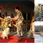 ‘ಶ್ವಾನವಾಗಿ ಹುಟ್ಟಿ, ಯೋಧನಾಗಿ ನಿವೃತ್ತಿ’- ಸಿಐಎಸ್‍ಎಫ್ ಶ್ವಾನಗಳಿಗೆ ವಿದಾಯ ಕೂಟ