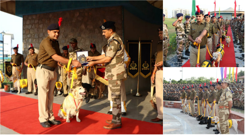 ‘ಶ್ವಾನವಾಗಿ ಹುಟ್ಟಿ, ಯೋಧನಾಗಿ ನಿವೃತ್ತಿ’- ಸಿಐಎಸ್‍ಎಫ್ ಶ್ವಾನಗಳಿಗೆ ವಿದಾಯ ಕೂಟ