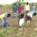 ಗ್ರಾಮಸ್ಥರ ನಿದ್ದೆಗೆಡಿಸಿದ ನಾಡಾ ಬಾಂಬ್‍ಗಳು- ಎರಡು ನಾಯಿಗಳು ಬಲಿ