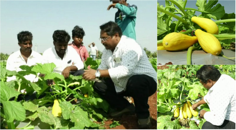 ಲಕ್ಷ ಲಕ್ಷ ಸಂಬಳಕ್ಕೆ ಗುಡ್‍ಬೈ, ಆಧುನಿಕ ಕೃಷಿಗೆ ಜೈ- ಬಾಗಲಕೋಟೆಯ ಆಕಾಶ್ ಪಬ್ಲಿಕ್ ಹೀರೋ