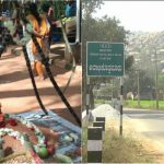 ಗ್ರಾಮಸ್ಥರಲ್ಲಿ ಸಂಕ್ರಾಂತಿ ಅಂದ್ರೆ ಭಯ- ಹಬ್ಬದ ಬದಲಿಗೆ ಬಸವ ಜಯಂತಿ ಆಚರಣೆ