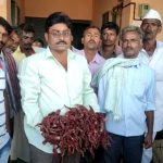 ಚಿನ್ನದ ಬೆಲೆ ಸನಿಹಕ್ಕೆ ಬ್ಯಾಡಗಿ ಒಣ ಮೆಣಸಿನಕಾಯಿ– ದಾಖಲೆ ಬೆಲೆಗೆ ರೈತರು ಖುಷ್