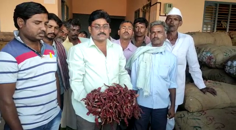 ಚಿನ್ನದ ಬೆಲೆ ಸನಿಹಕ್ಕೆ ಬ್ಯಾಡಗಿ ಒಣ ಮೆಣಸಿನಕಾಯಿ– ದಾಖಲೆ ಬೆಲೆಗೆ ರೈತರು ಖುಷ್