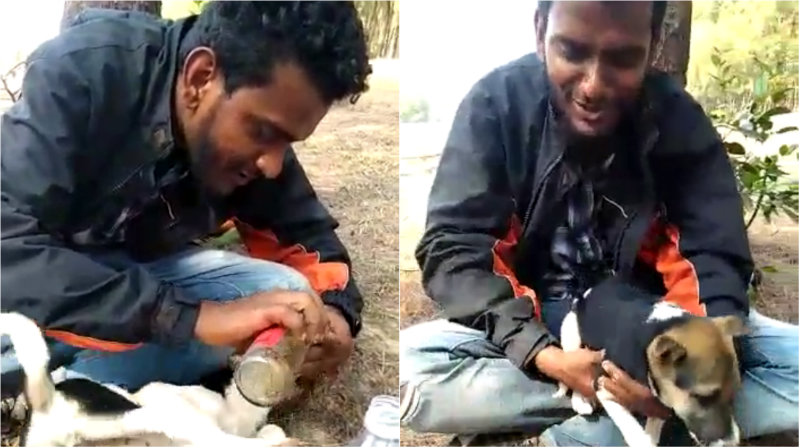 ಎಣ್ಣೆ ಮತ್ತಲ್ಲಿ ನಾಯಿ ಮರಿಗೆ ಪೆಗ್ ಹಾಕಿಸಿ ಯುವಕನಿಂದ ವಿಕೃತಿ