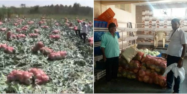 ದಿಢೀರ್ ಬೆಲೆ ಕುಸಿತ- ಮಠಗಳಿಗೆ ರೈತರಿಂದ 300 ಮೂಟೆ ಉಚಿತ ಎಲೆಕೋಸು ರವಾನೆ