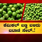 ನೀವು ತಿನ್ನುವ ಬಟಾಣಿ ಆರೋಗ್ಯಕ್ಕೆ ತರಬಹುದು ಕುತ್ತು!