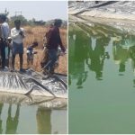 ಶಾಲೆಗೆ ರಜೆ – ಹೊಂಡದಲ್ಲಿ ಈಜಲು ಹೋಗಿ ಇಬ್ಬರು ಬಾಲಕರು ಸಾವು