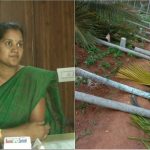 ರೈತ ಮಹಿಳೆಯ ಮರ ಕಡಿಯಲು ನಾನು ಅನುಮತಿ ನೀಡಿಲ್ಲ: ತಹಶೀಲ್ದಾರ ಮಮತಾ
